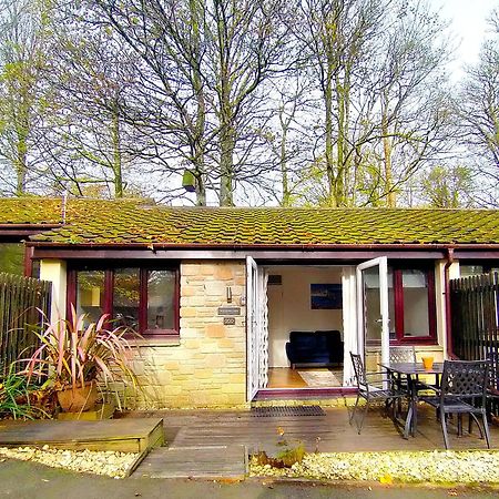Woodland View - Families & Pets Villa Uny Lelant Luaran gambar