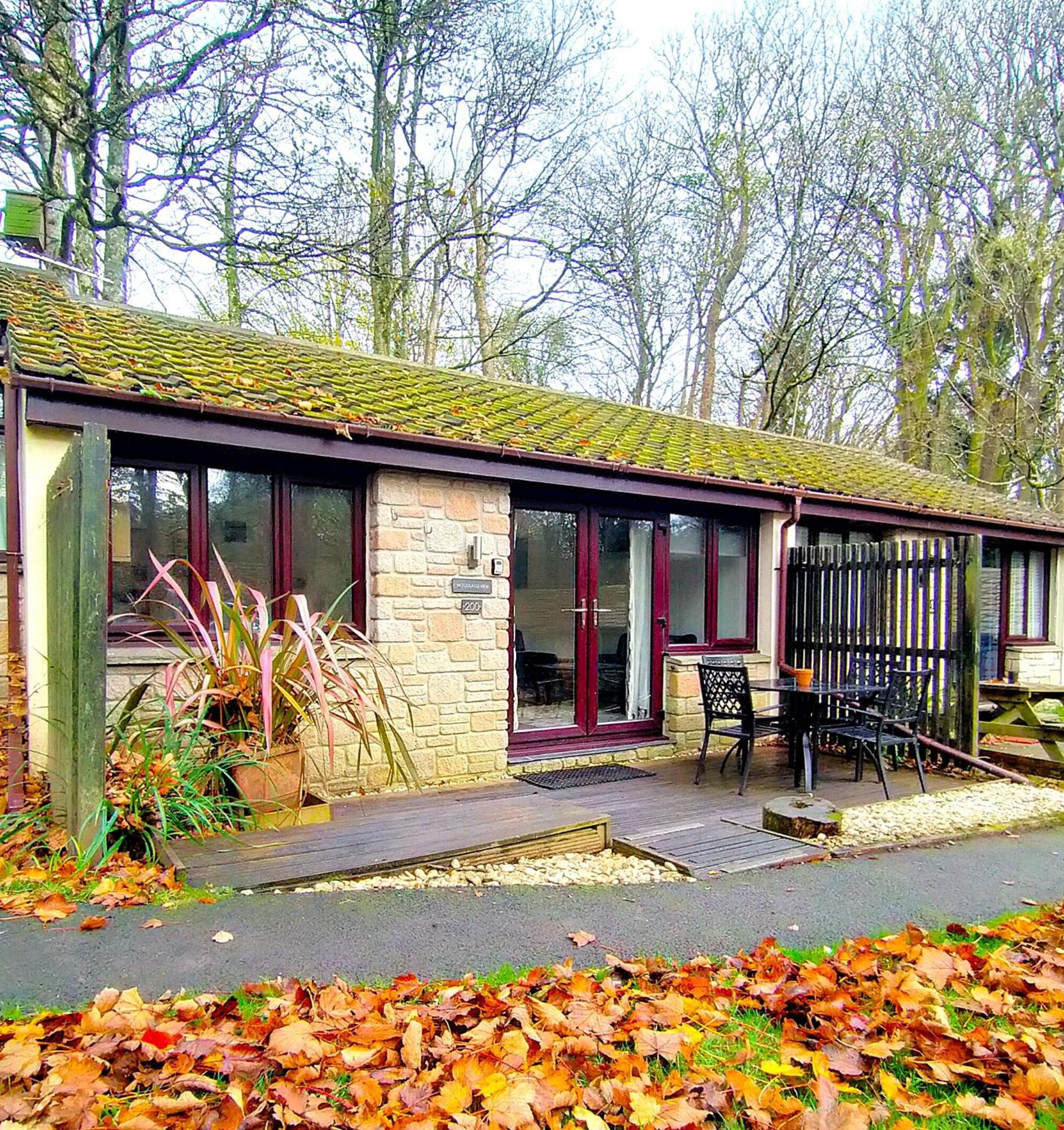 Woodland View - Families & Pets Villa Uny Lelant Luaran gambar